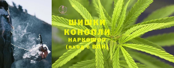 прущая мука Чекалин