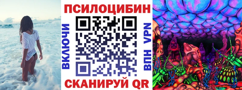 Галлюциногенные грибы Psilocybe  Верещагино 